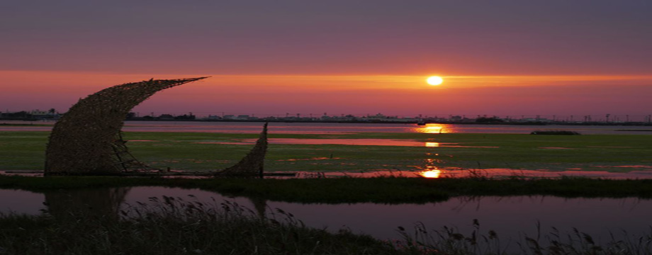 BRM260227 台319 600K