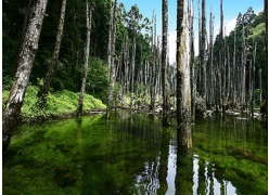 Tour de Alishan SR 2025