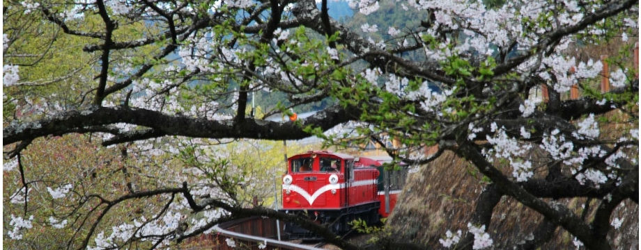 BRM250621 阿里山200K